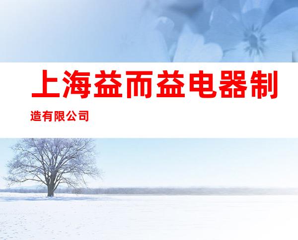 上海益而益电器制造有限公司