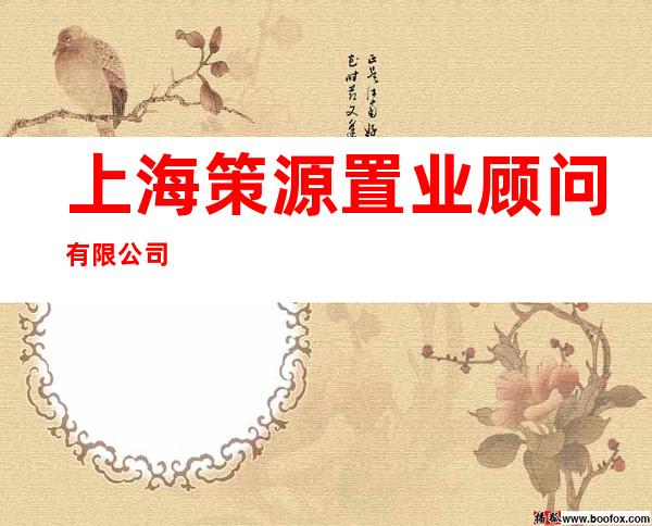 上海策源置业顾问有限公司