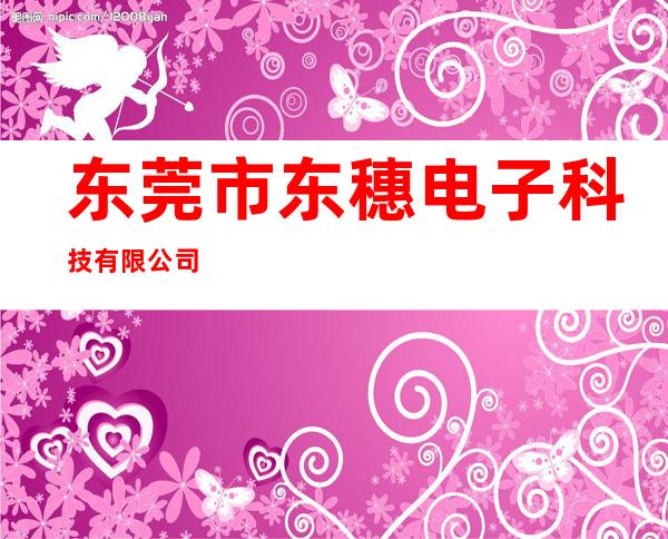 东莞市东穗电子科技有限公司