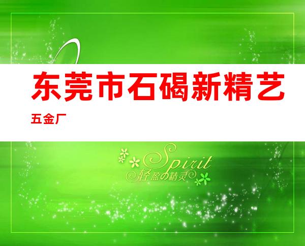 东莞市石碣新精艺五金厂