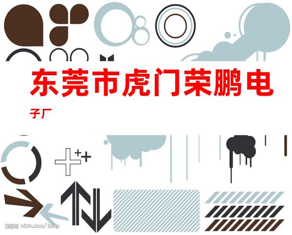 东莞市虎门荣鹏电子厂