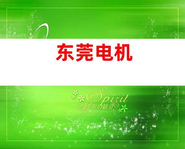 东莞电机