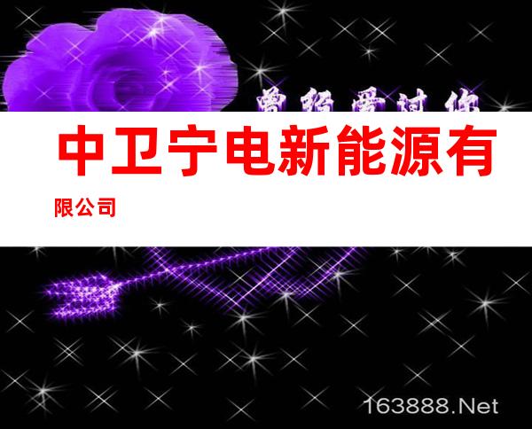 中卫宁电新能源有限公司