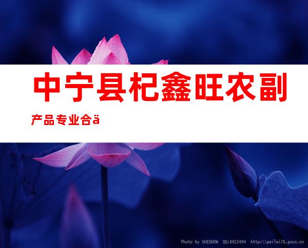 中宁县杞鑫旺农副产品专业合作社