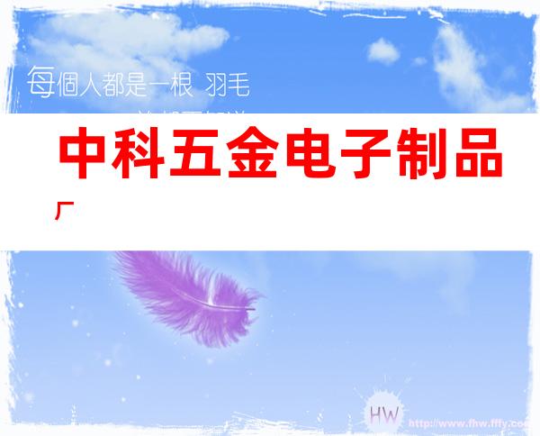 中科五金电子制品厂