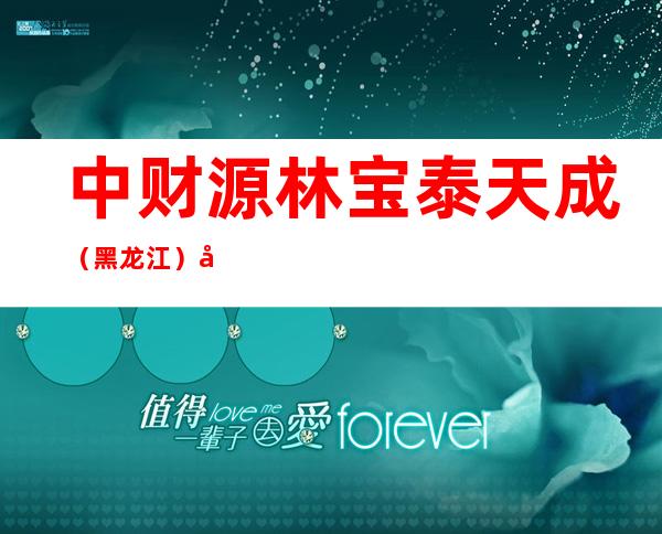 中财源林宝泰天成（黑龙江）建设工程有限公司