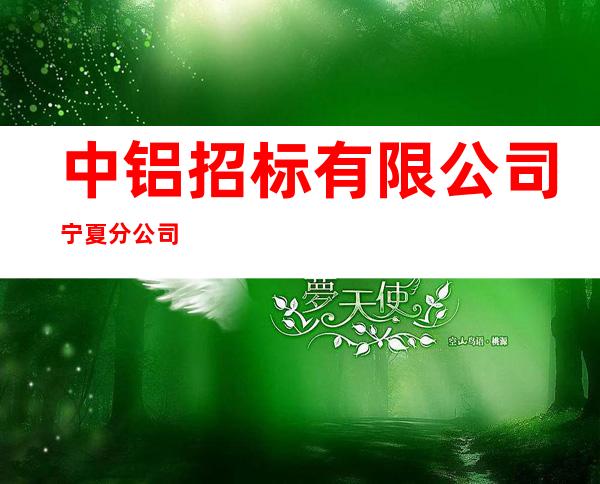 中铝招标有限公司宁夏分公司