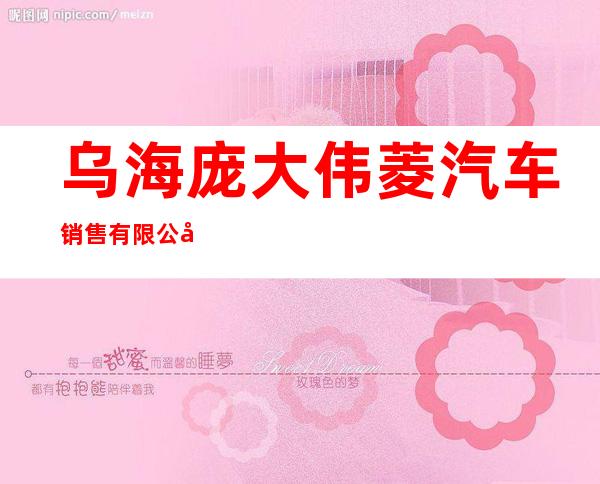 乌海庞大伟菱汽车销售有限公司