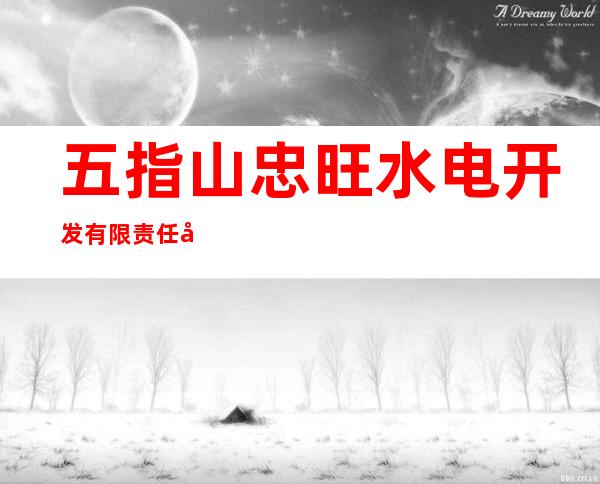 五指山忠旺水电开发有限责任公司