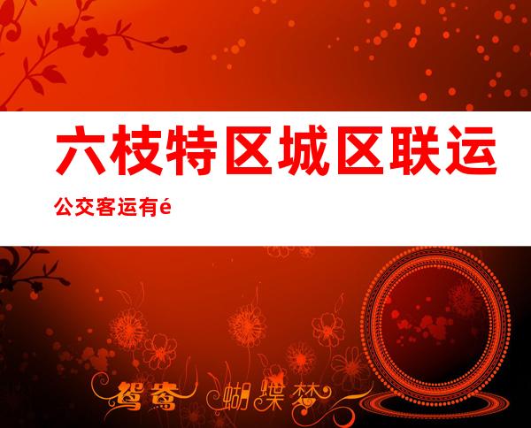 六枝特区城区联运公交客运有限公司