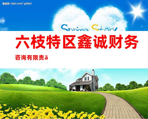 六枝特区鑫诚财务咨询有限责任公司