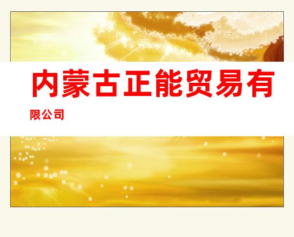 内蒙古正能贸易有限公司
