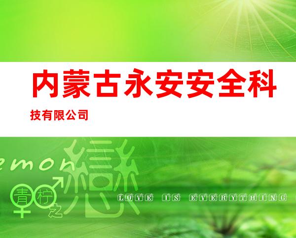 内蒙古永安安全科技有限公司