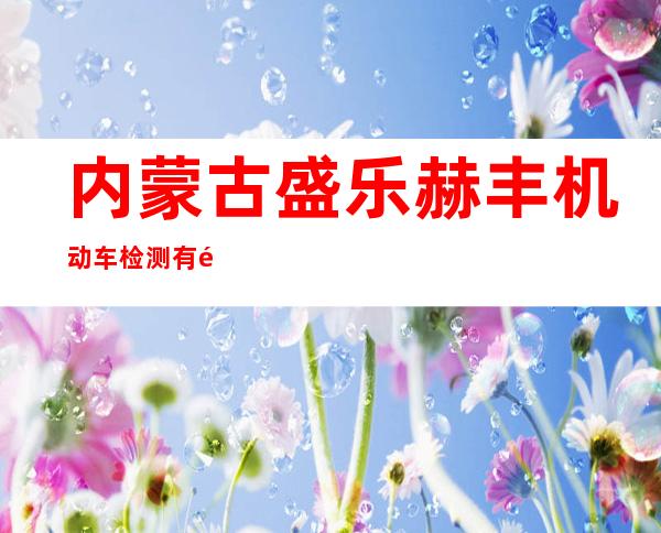 内蒙古盛乐赫丰机动车检测有限责任公司