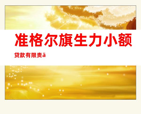 准格尔旗生力小额贷款有限责任公司