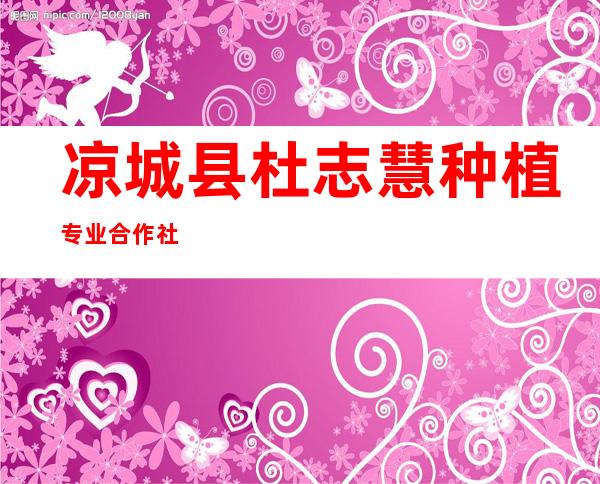 凉城县杜志慧种植专业合作社