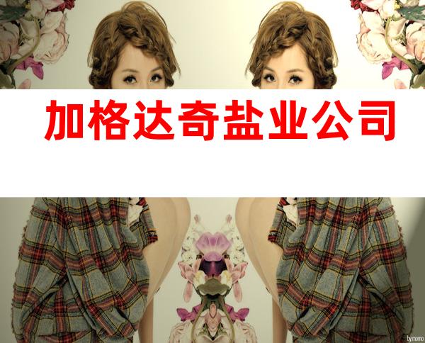 加格达奇盐业公司