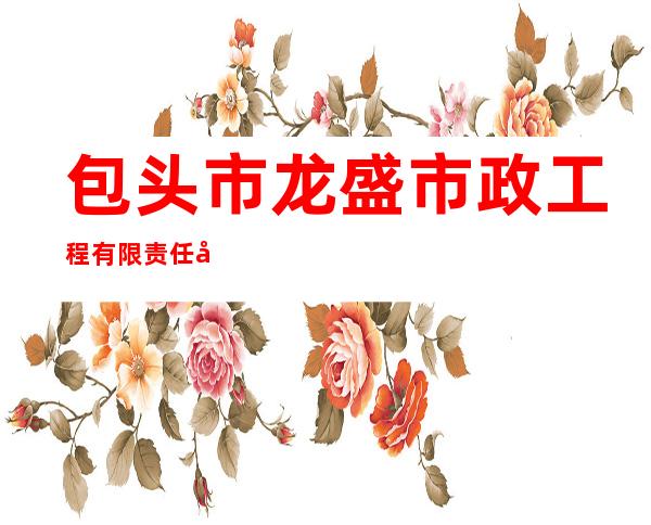 包头市龙盛市政工程有限责任公司