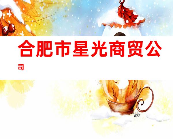 合肥市星光商贸公司