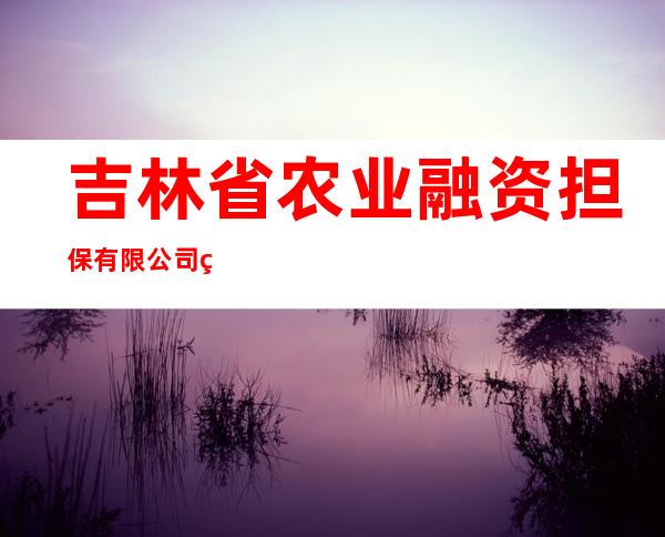 吉林省农业融资担保有限公司白山分公司