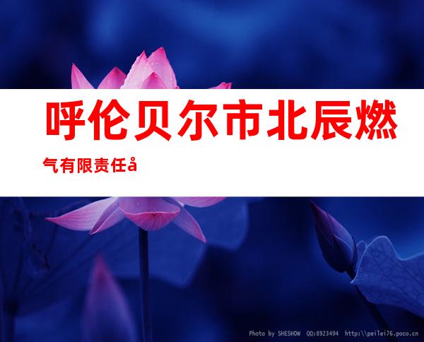 呼伦贝尔市北辰燃气有限责任公司