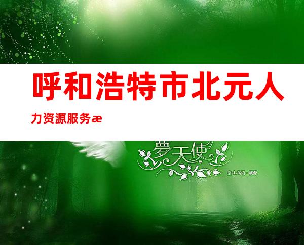 呼和浩特市北元人力资源服务有限公司