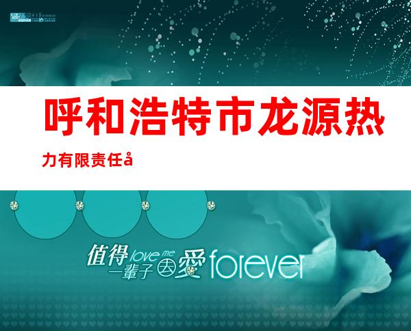 呼和浩特市龙源热力有限责任公司