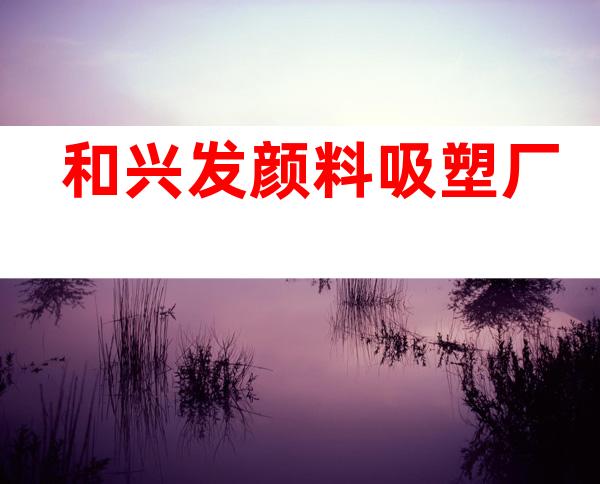 和兴发颜料吸塑厂