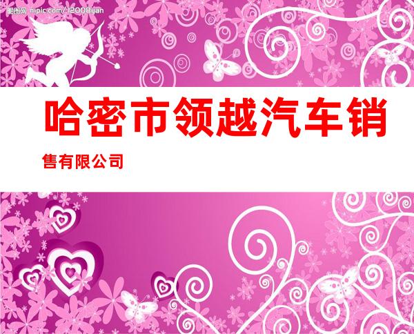 哈密市领越汽车销售有限公司