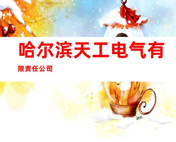 哈尔滨天工电气有限责任公司