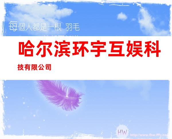 哈尔滨环宇互娱科技有限公司