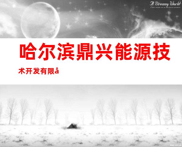 哈尔滨鼎兴能源技术开发有限公司