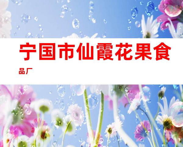 宁国市仙霞花果食品厂