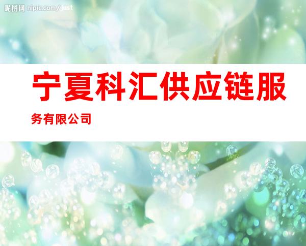 宁夏科汇供应链服务有限公司