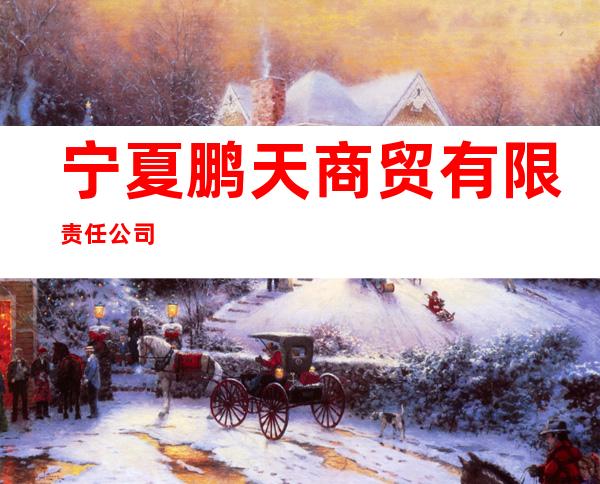 宁夏鹏天商贸有限责任公司