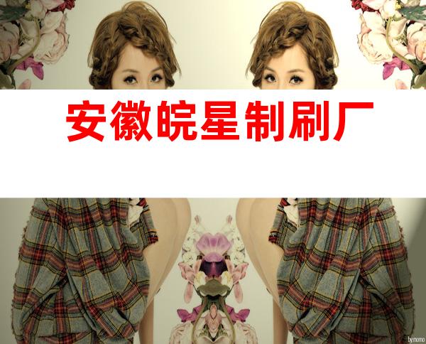 安徽皖星制刷厂
