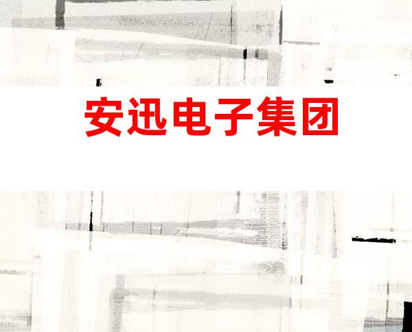 安迅电子集团