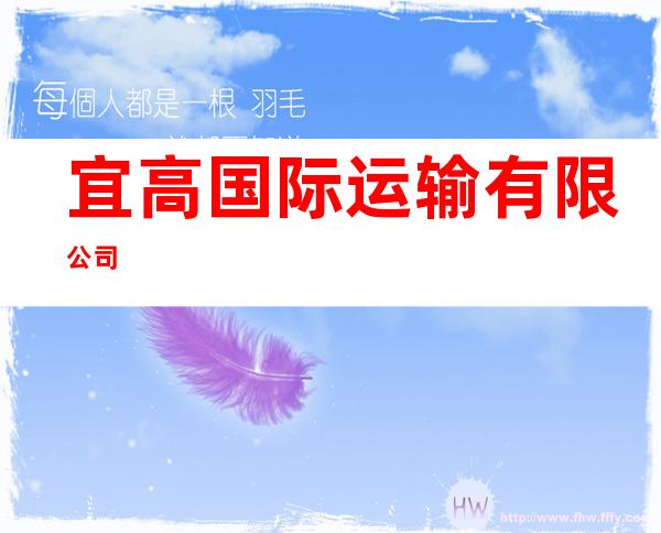 宜高国际运输有限公司