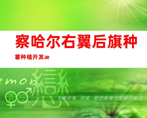 察哈尔右翼后旗种薯种植开发有限公司