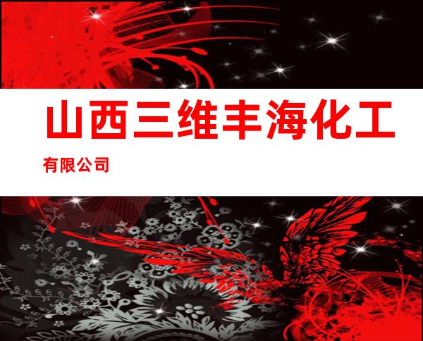 山西三维丰海化工有限公司