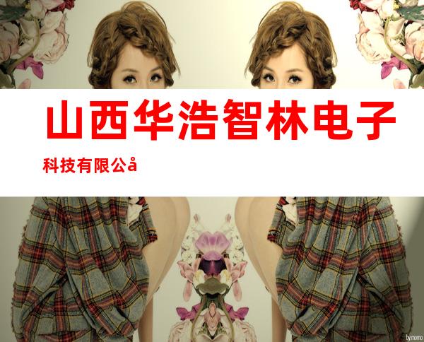 山西华浩智林电子科技有限公司