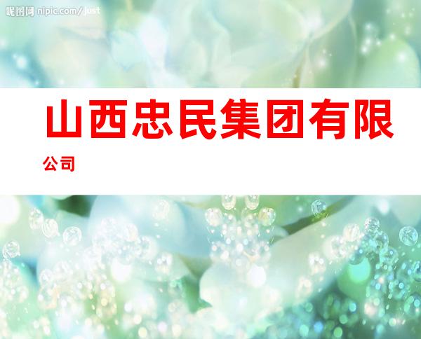 山西忠民集团有限公司