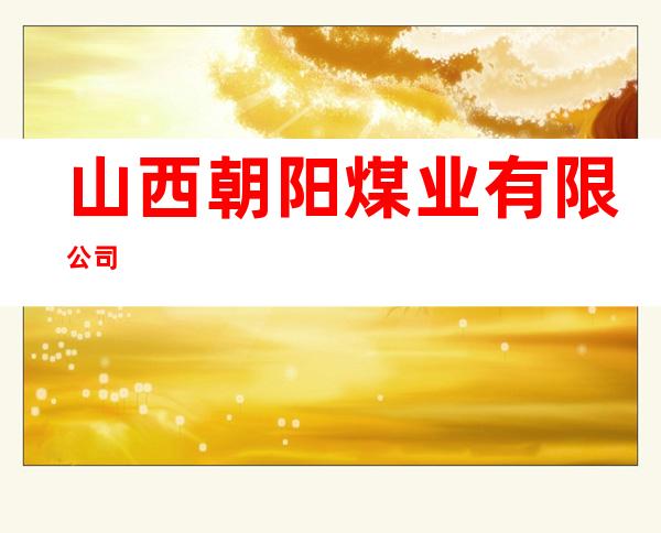 山西朝阳煤业有限公司