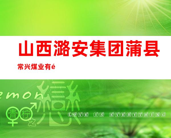 山西潞安集团蒲县常兴煤业有限公司