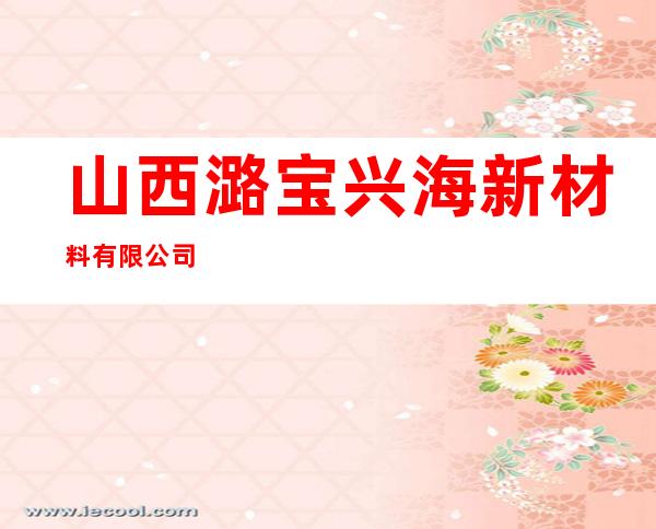 山西潞宝兴海新材料有限公司