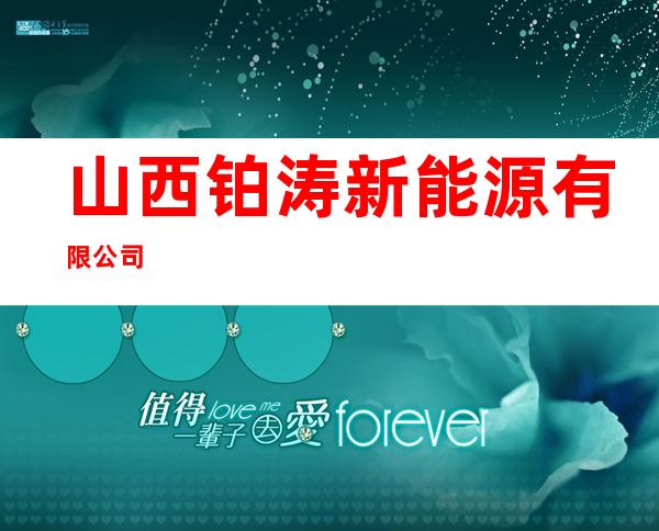 山西铂涛新能源有限公司