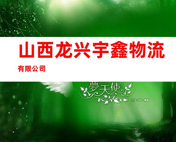 山西龙兴宇鑫物流有限公司