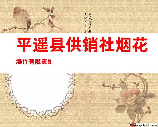 平遥县供销社烟花爆竹有限责任公司