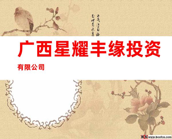 广西星耀丰缘投资有限公司