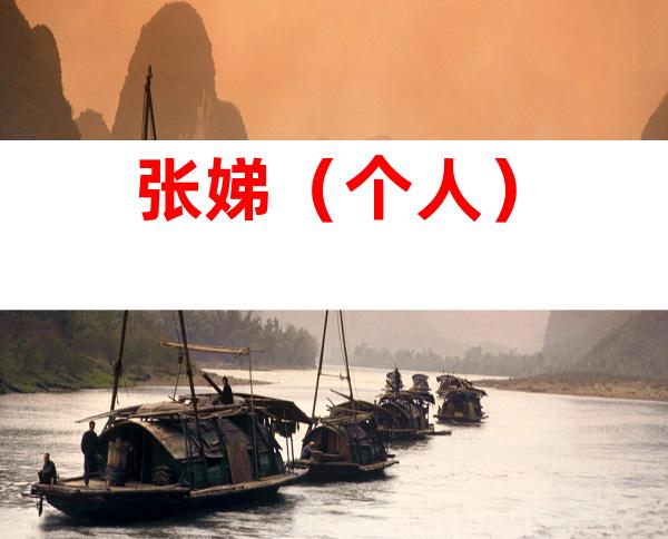 张娣（个人）